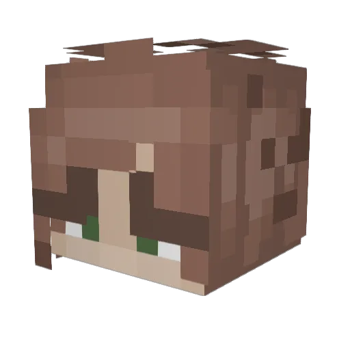baumteppich Minecraft avatar head, 3D render