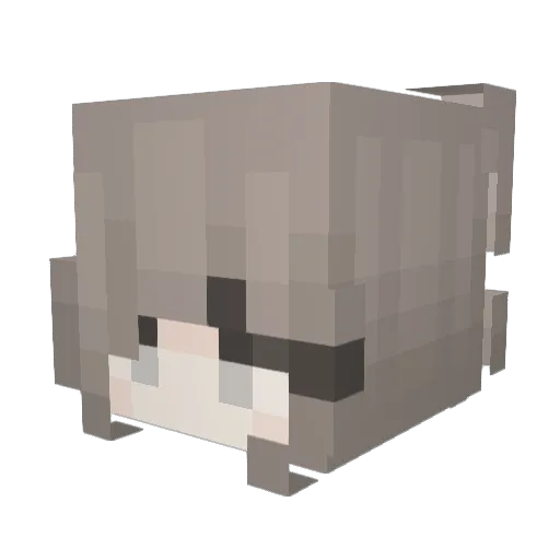 bavanavaa Minecraft avatar head, 3D render