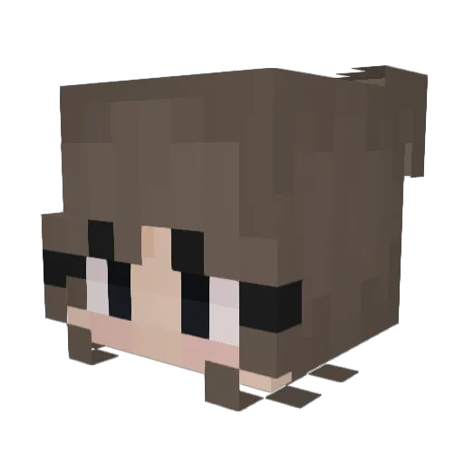 bawa08 Minecraft avatar head, 3D render
