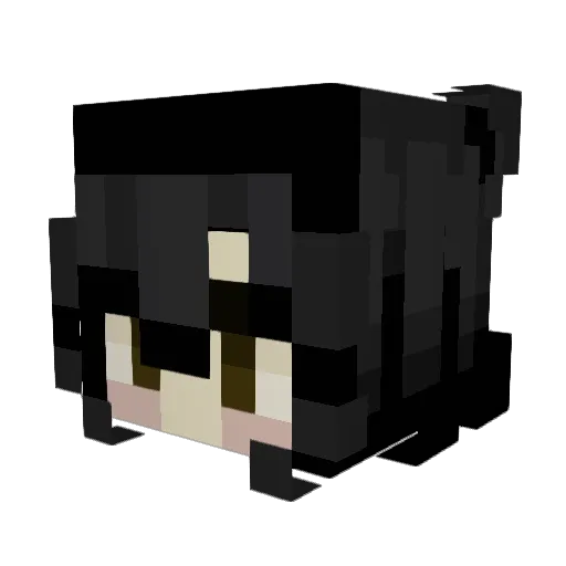 bawlzee Minecraft avatar head, 3D render