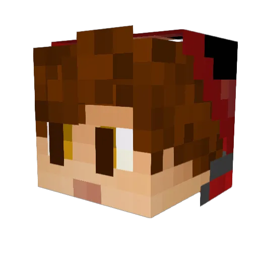 baxtercat10 Minecraft avatar head, 3D render