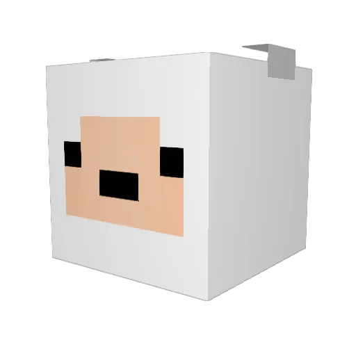 baybo_ Minecraft avatar head, 3D render