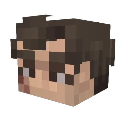 bayharbourkiller Minecraft avatar head, 3D render