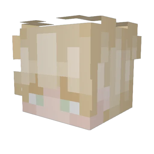 bayliner1000 Minecraft avatar head, 3D render