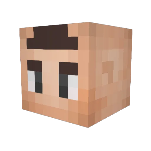 bayoneet Minecraft avatar head, 3D render
