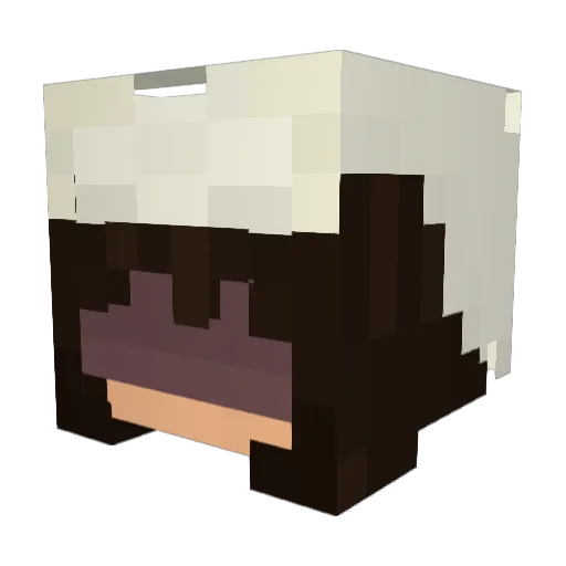bazingaa_PR Minecraft avatar head, 3D render