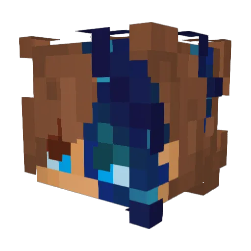 bazingar Minecraft avatar head, 3D render