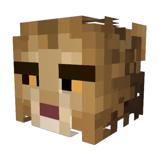 bazyl211533 Minecraft avatar head, 3D render