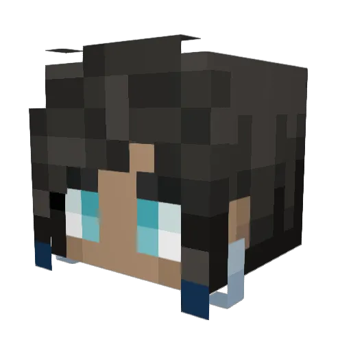 bbabdoian Minecraft avatar head, 3D render
