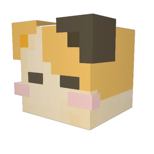 bbaezz Minecraft avatar head, 3D render