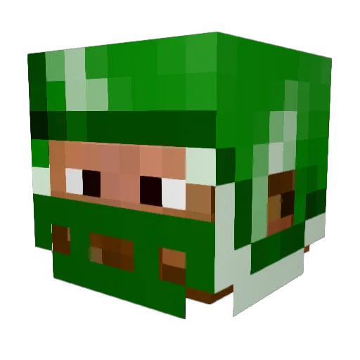 bballtomes42 Minecraft avatar head, 3D render