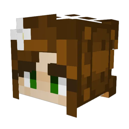 bbballoons56 Minecraft avatar head, 3D render