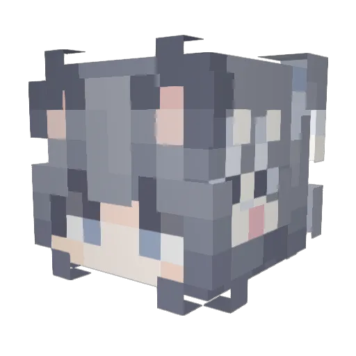 bbbbdl Minecraft avatar head, 3D render