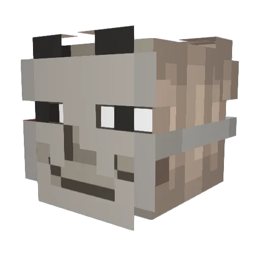 bbbebpor Minecraft avatar head, 3D render