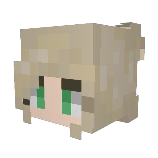 bbbugs Minecraft avatar head, 3D render