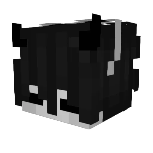 bbc5 Minecraft avatar head, 3D render