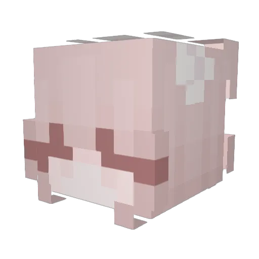 bbeaniee Minecraft avatar head, 3D render