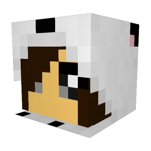 bbgri Minecraft avatar head, 3D render