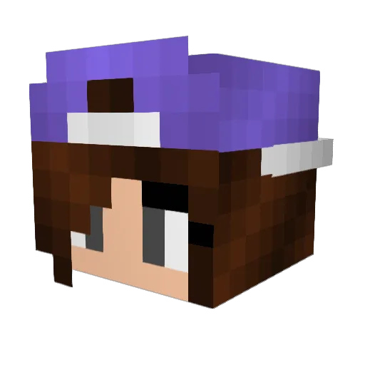 bbgwild Minecraft avatar head, 3D render