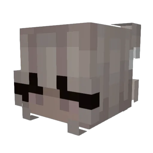 bbgz Minecraft avatar head, 3D render