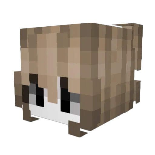 bbhavilonia Minecraft avatar head, 3D render