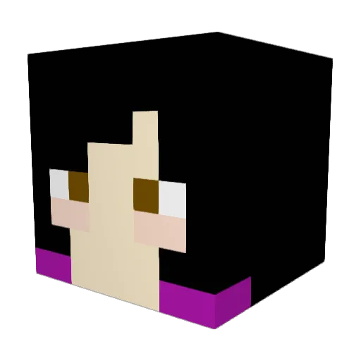 bbibbi_ Minecraft avatar head, 3D render