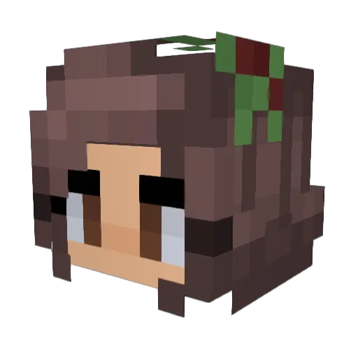 bbirdie Minecraft avatar head, 3D render