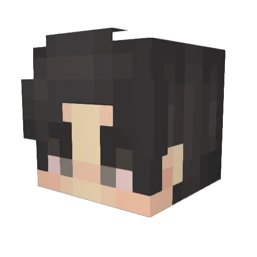 bblerdal Minecraft avatar head, 3D render