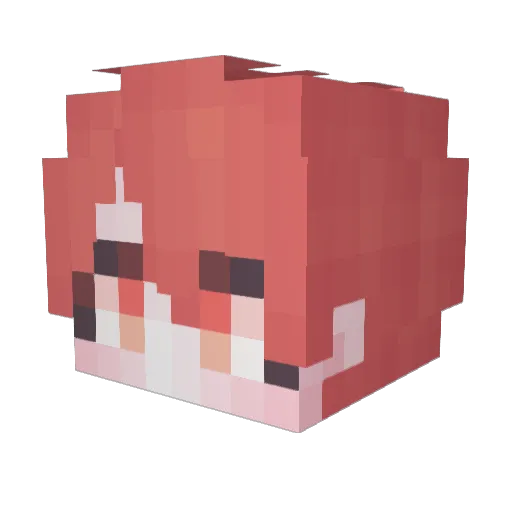 bbogri1 Minecraft avatar head, 3D render