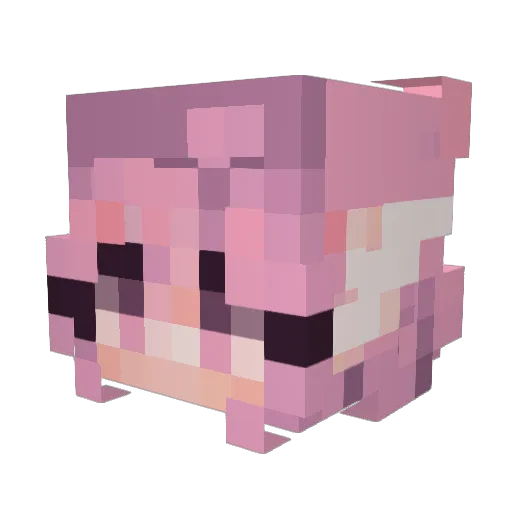bboojqk Minecraft avatar head, 3D render