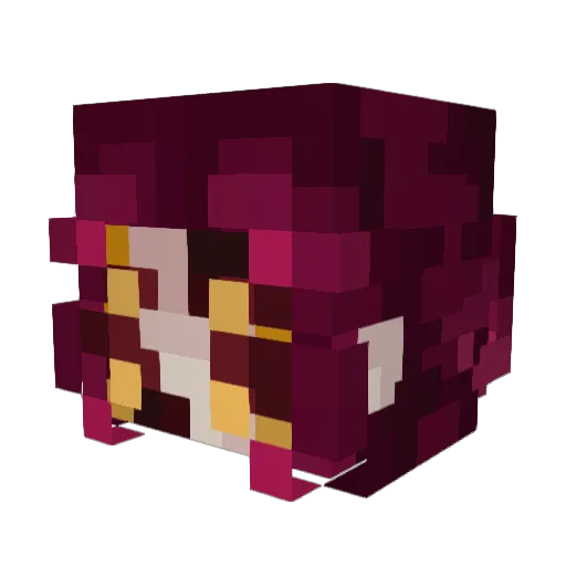 bboy2244 Minecraft avatar head, 3D render