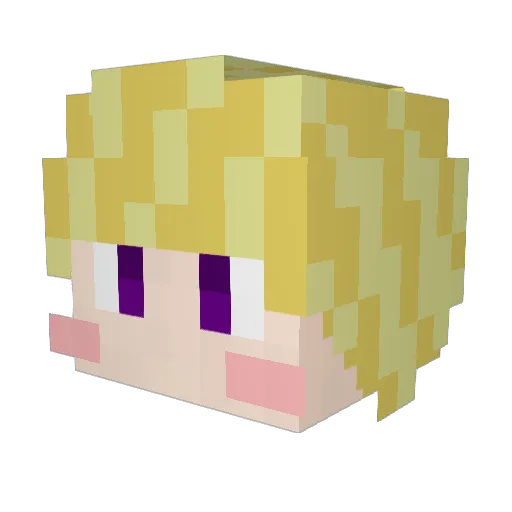 bbq2990 Minecraft avatar head, 3D render