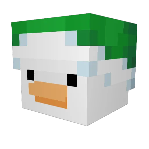 bbq_twinkle Minecraft avatar head, 3D render