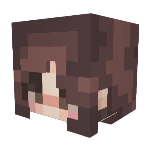 bbqchii Minecraft avatar head, 3D render