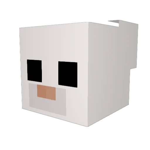 bbqsetti Minecraft avatar head, 3D render