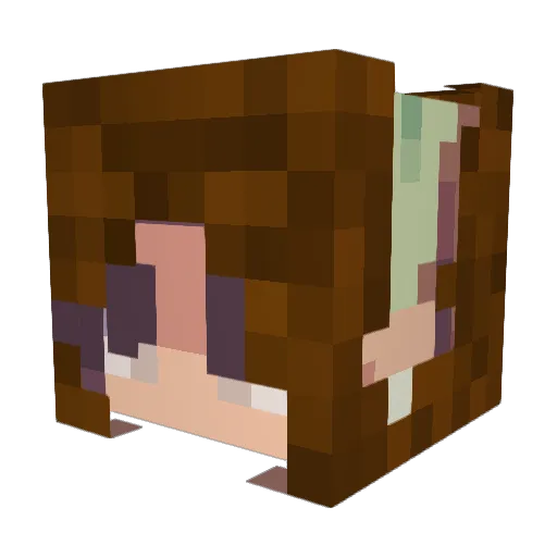 bbrbbr Minecraft avatar head, 3D render