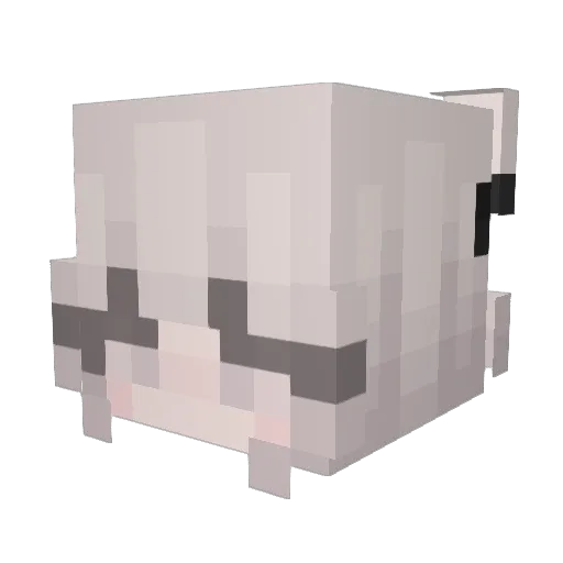 bbrightw Minecraft avatar head, 3D render
