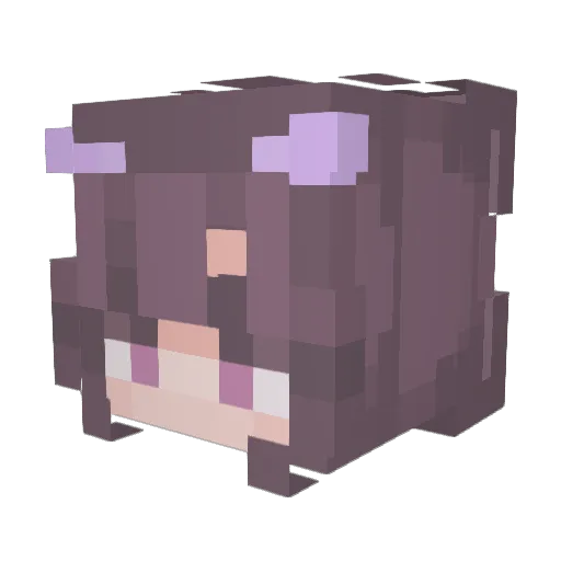 bbrrbbrr Minecraft avatar head, 3D render