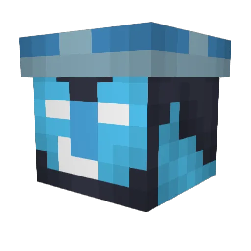 bbss999 Minecraft avatar head, 3D render