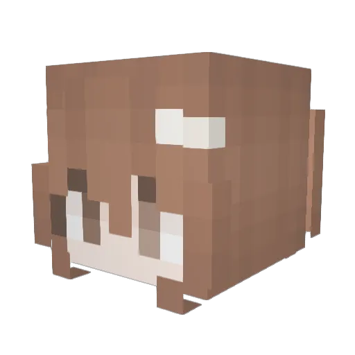 bbukk Minecraft avatar head, 3D render