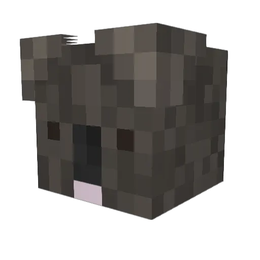 bbung123 Minecraft avatar head, 3D render