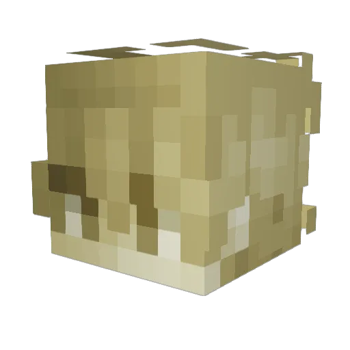 bbuuzzzz Minecraft avatar head, 3D render