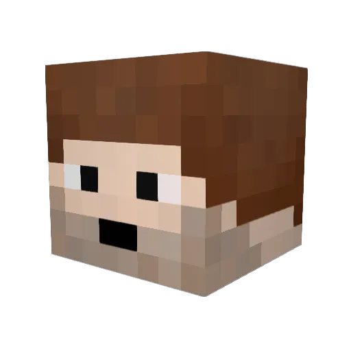 bcarroll8607 Minecraft avatar head, 3D render
