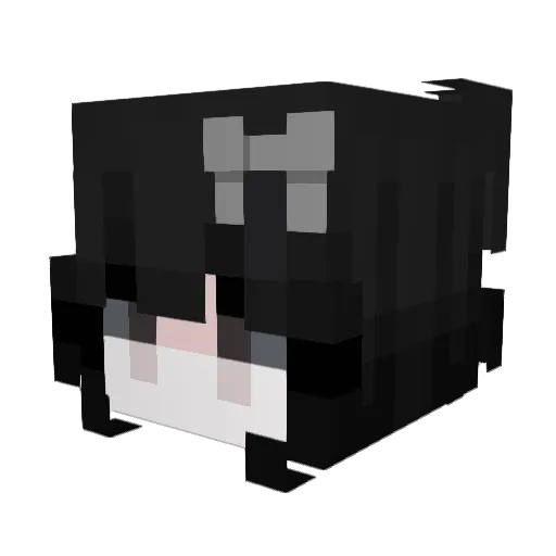 bcba Minecraft avatar head, 3D render