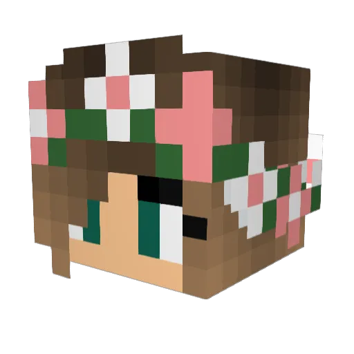 bcf2013 Minecraft avatar head, 3D render