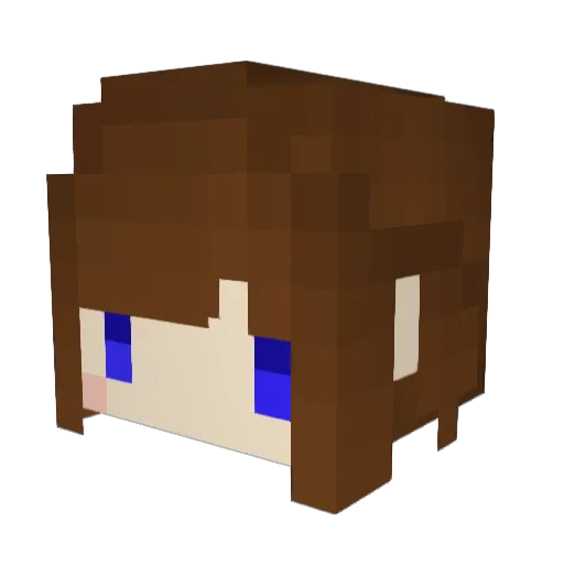 bcfghjj Minecraft avatar head, 3D render
