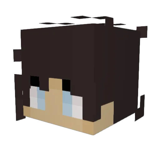 bchaps18 Minecraft avatar head, 3D render