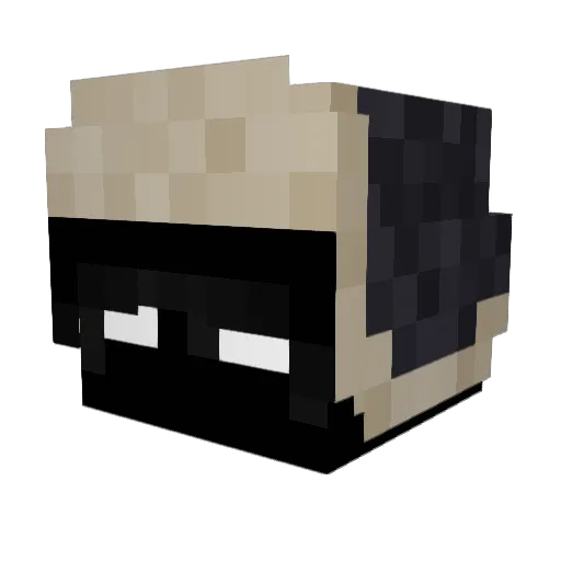 bcit Minecraft avatar head, 3D render