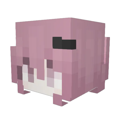 bcllq Minecraft avatar head, 3D render