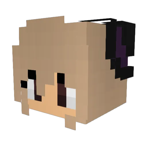 bcookie2 Minecraft avatar head, 3D render